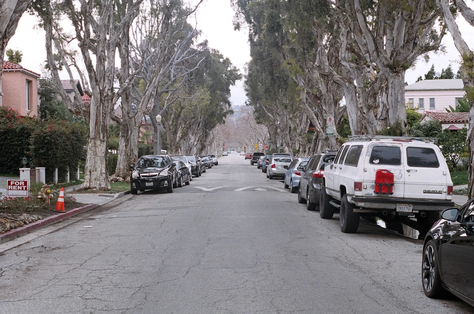 Side street, looking north towards Beverly Hills. Kodak Portra 400. Pentax K1000. Fletcher Berryman 2019.