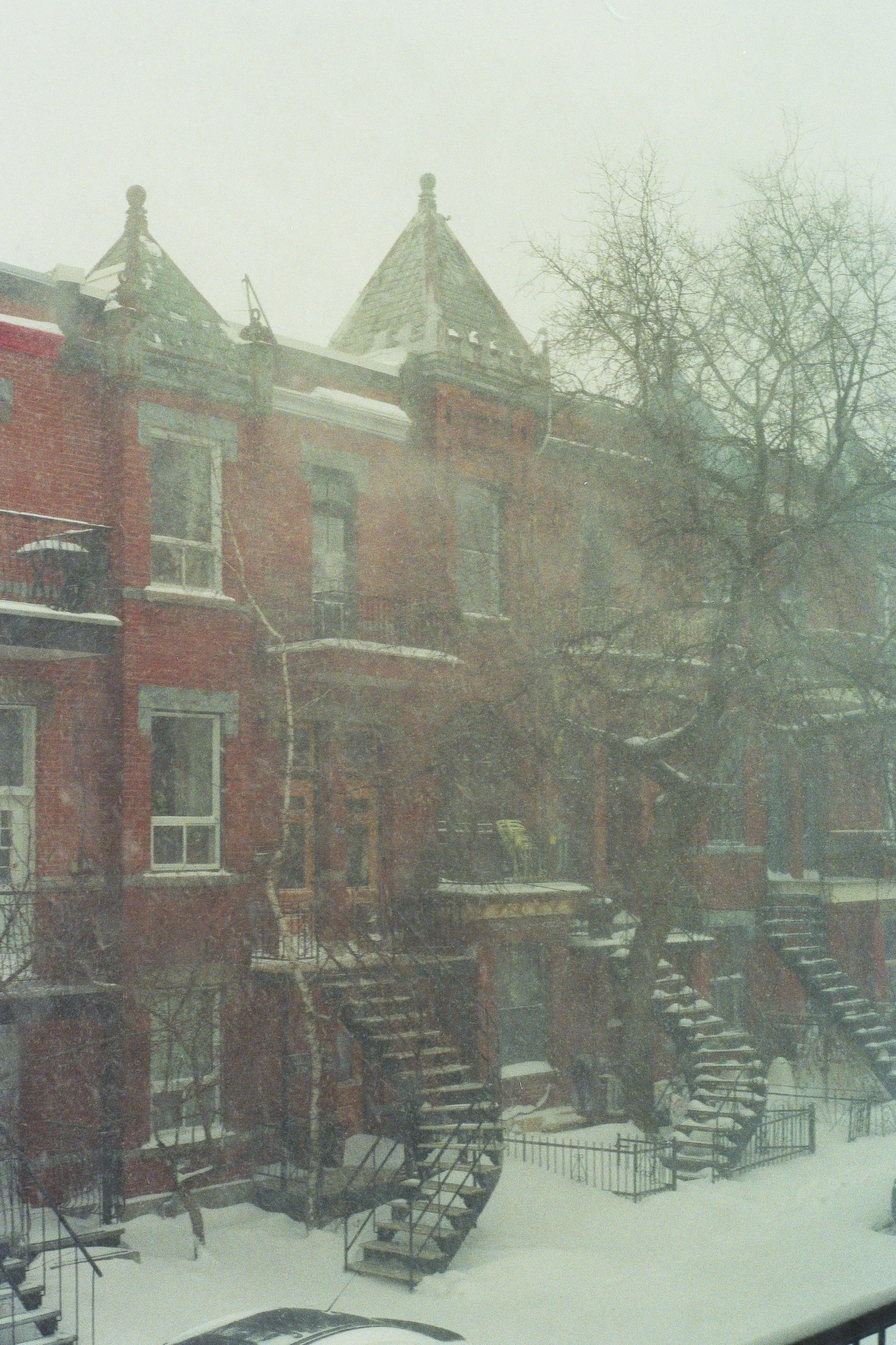 The Storm. Le Plateau, Montreal. Kodak Ultra Max 400. Pentax K1000. Fletcher Berryman 2019.