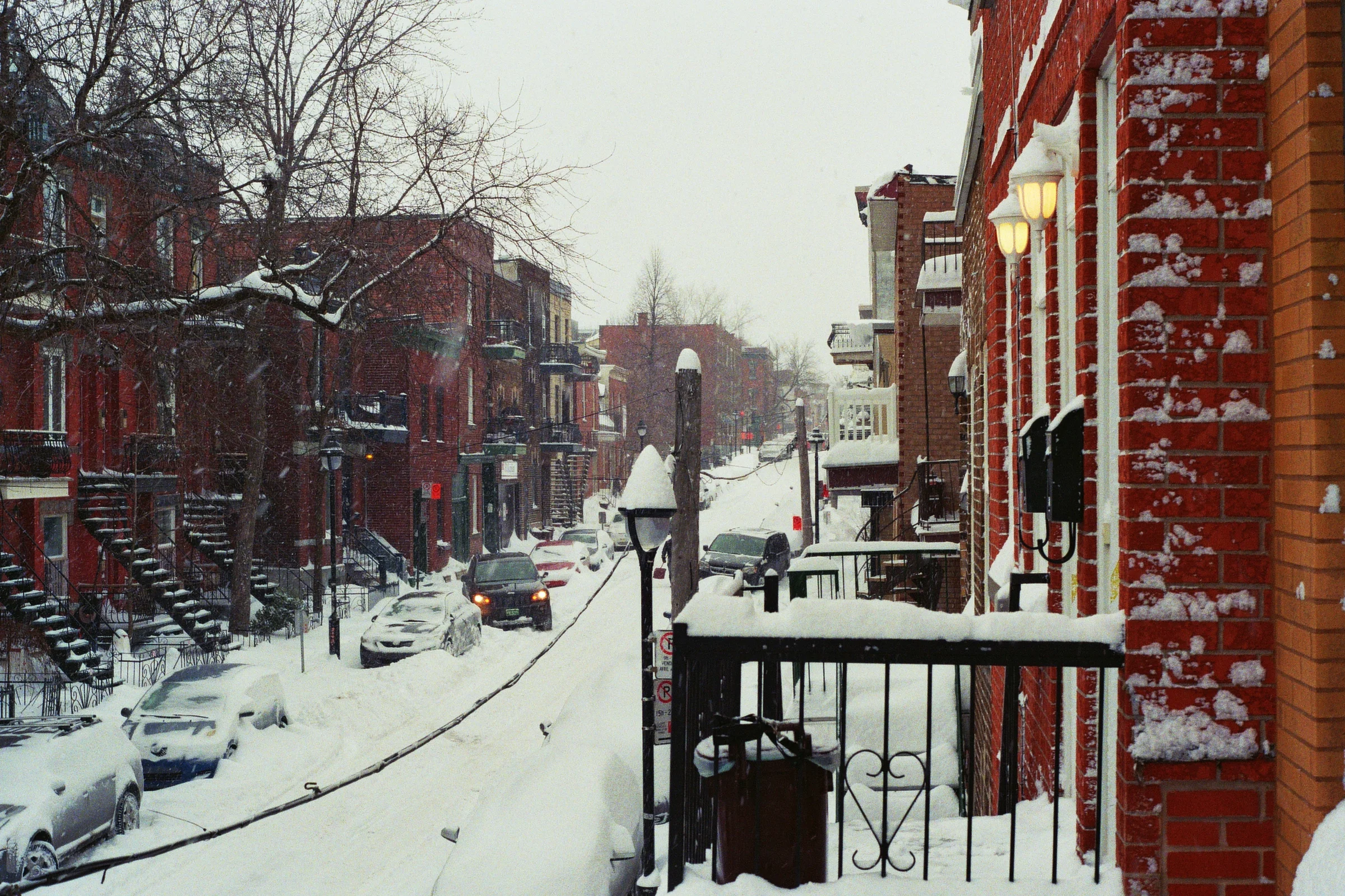 Kodak Ultra Max 400. Pentax K1000. Fletcher Berryman 2019.