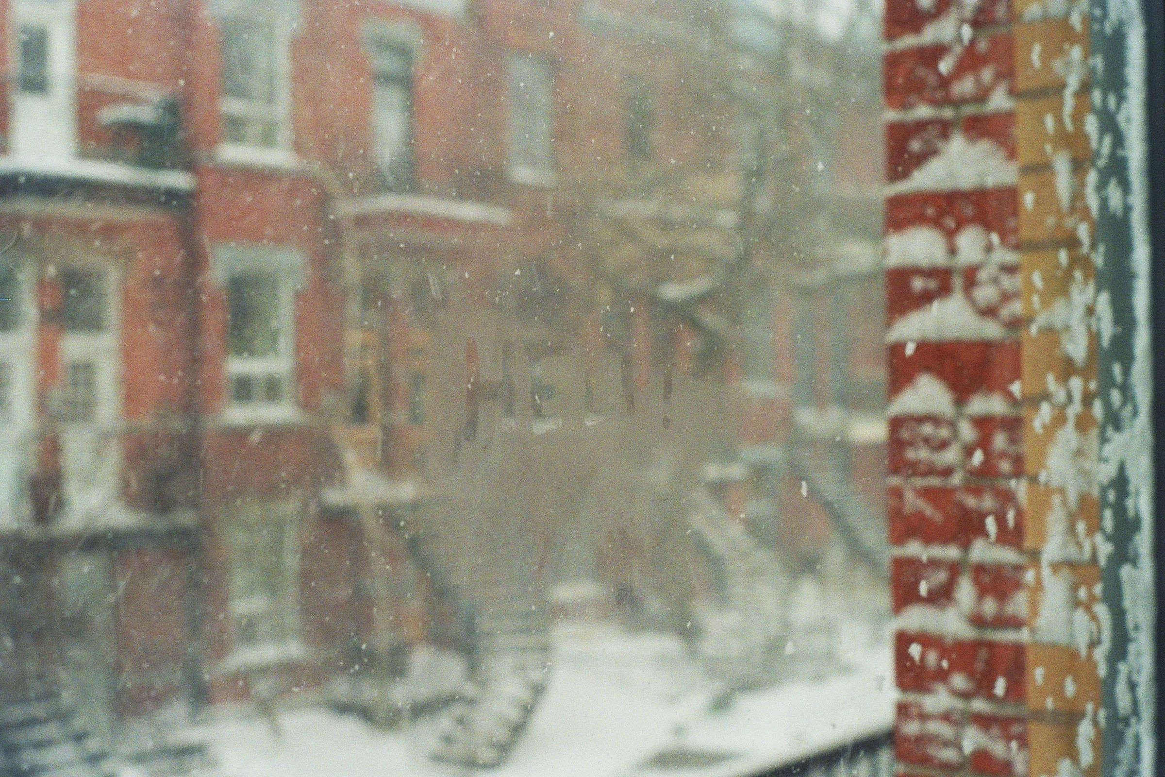 Kodak Ultra Max 400. Pentax K1000. Fletcher Berryman 2019.