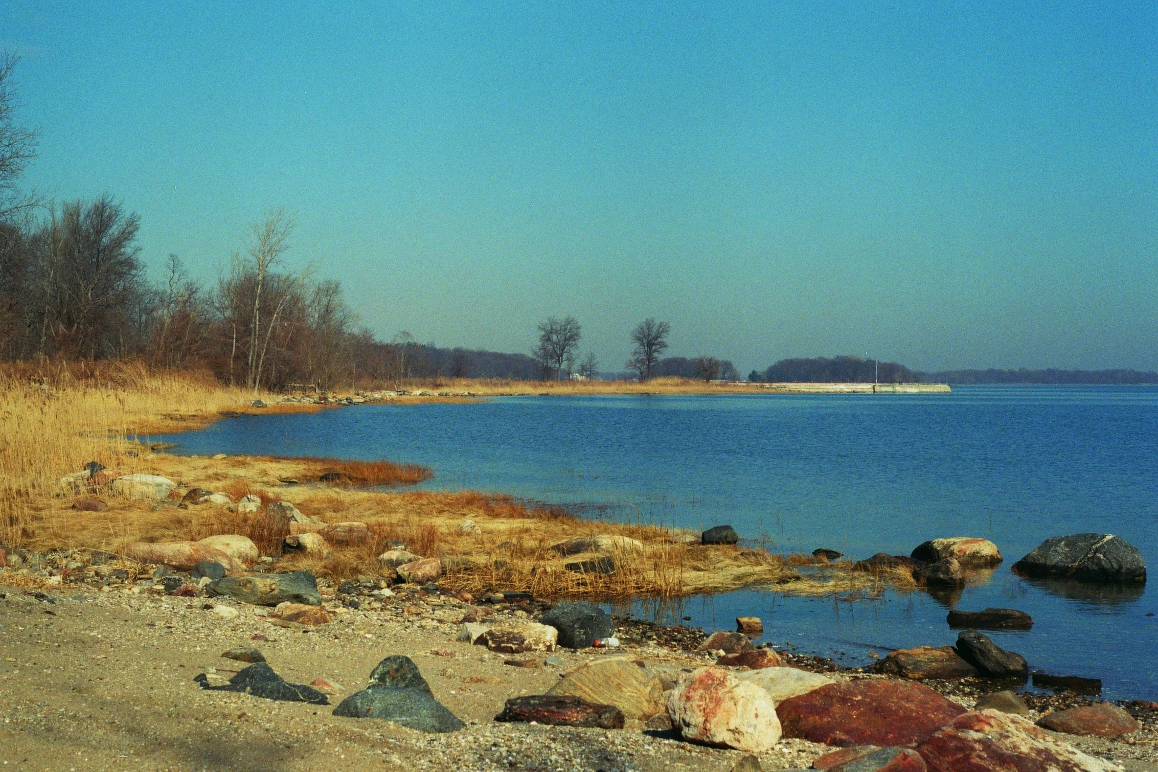 Coastline of Pelham Bay Park on Long Island Sound. Kodak Ultra Max 400. Pentax K1000. Fletcher Berryman 2019.