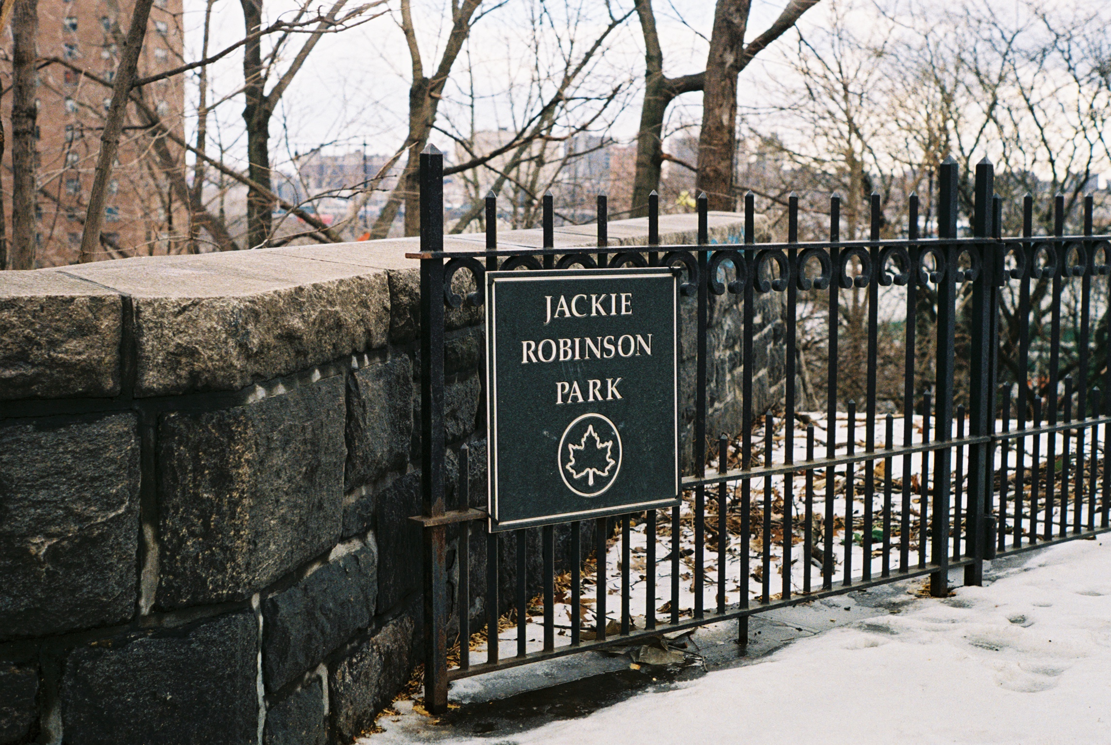 Sugar Hill, Manhattan. Kodak Ultra Max 400. Pentax K1000. Fletcher Berryman 2019.
