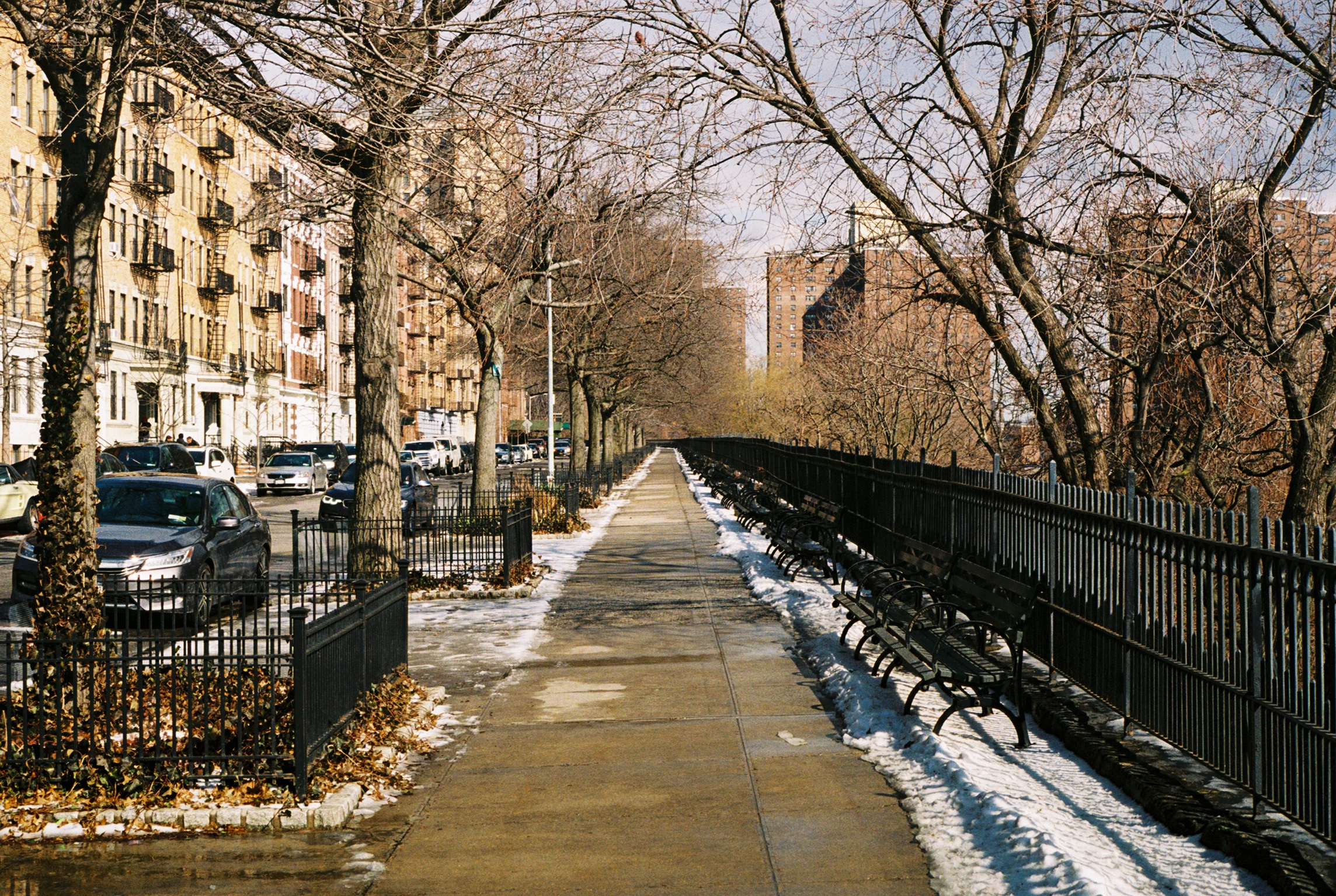 Sugar Hill, Manhattan. Kodak Ultra Max 400. Pentax K1000. Fletcher Berryman 2019.