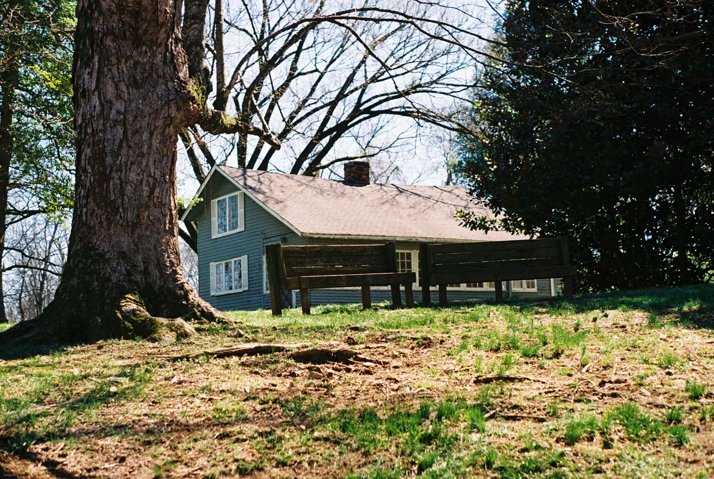Franklin, Tennessee. Kodak Ultra Max 400. Pentax K1000. Fletcher Berryman 2019.