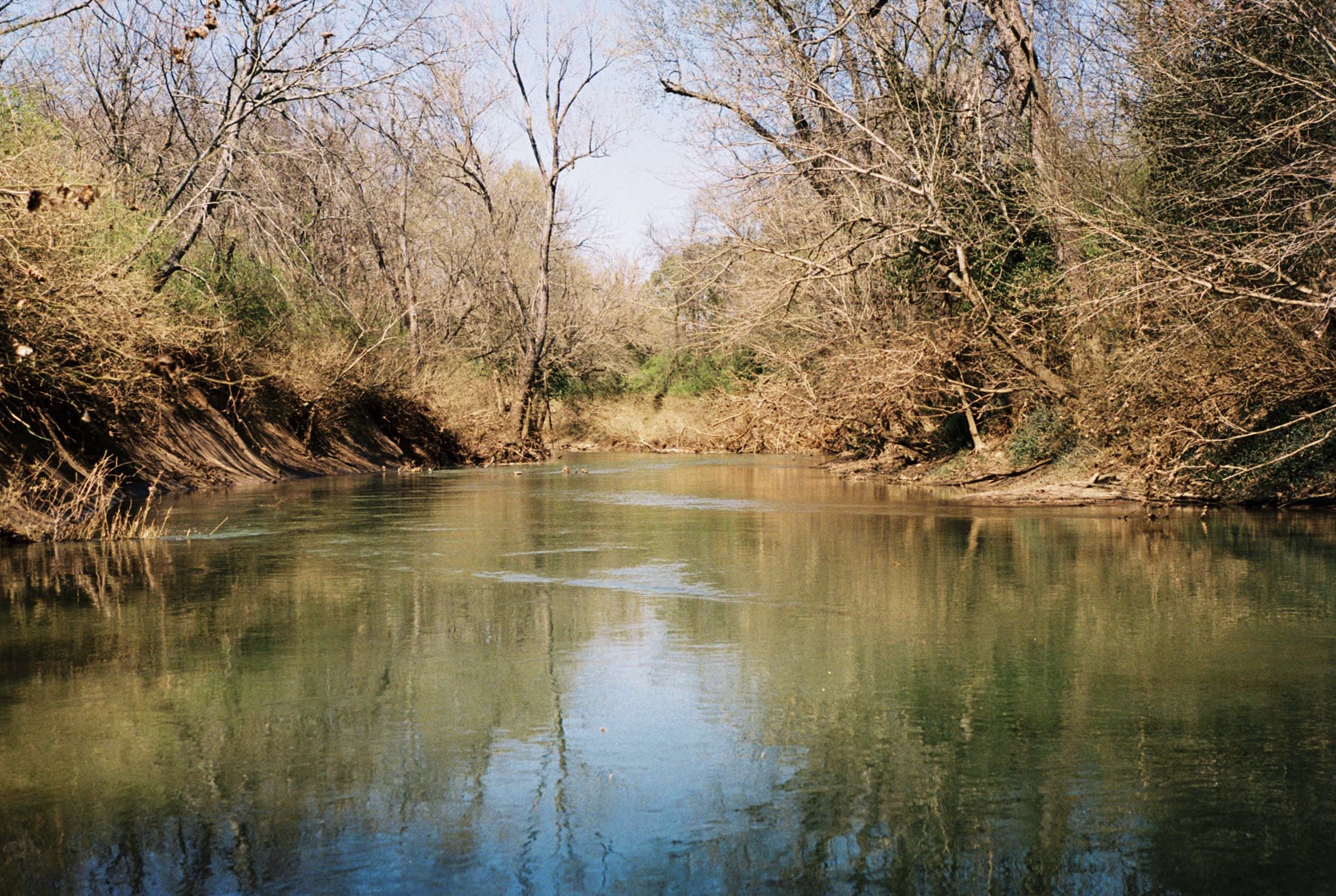 Franklin, Tennessee. Kodak Ultra Max 400. Pentax K1000. Fletcher Berryman 2019.