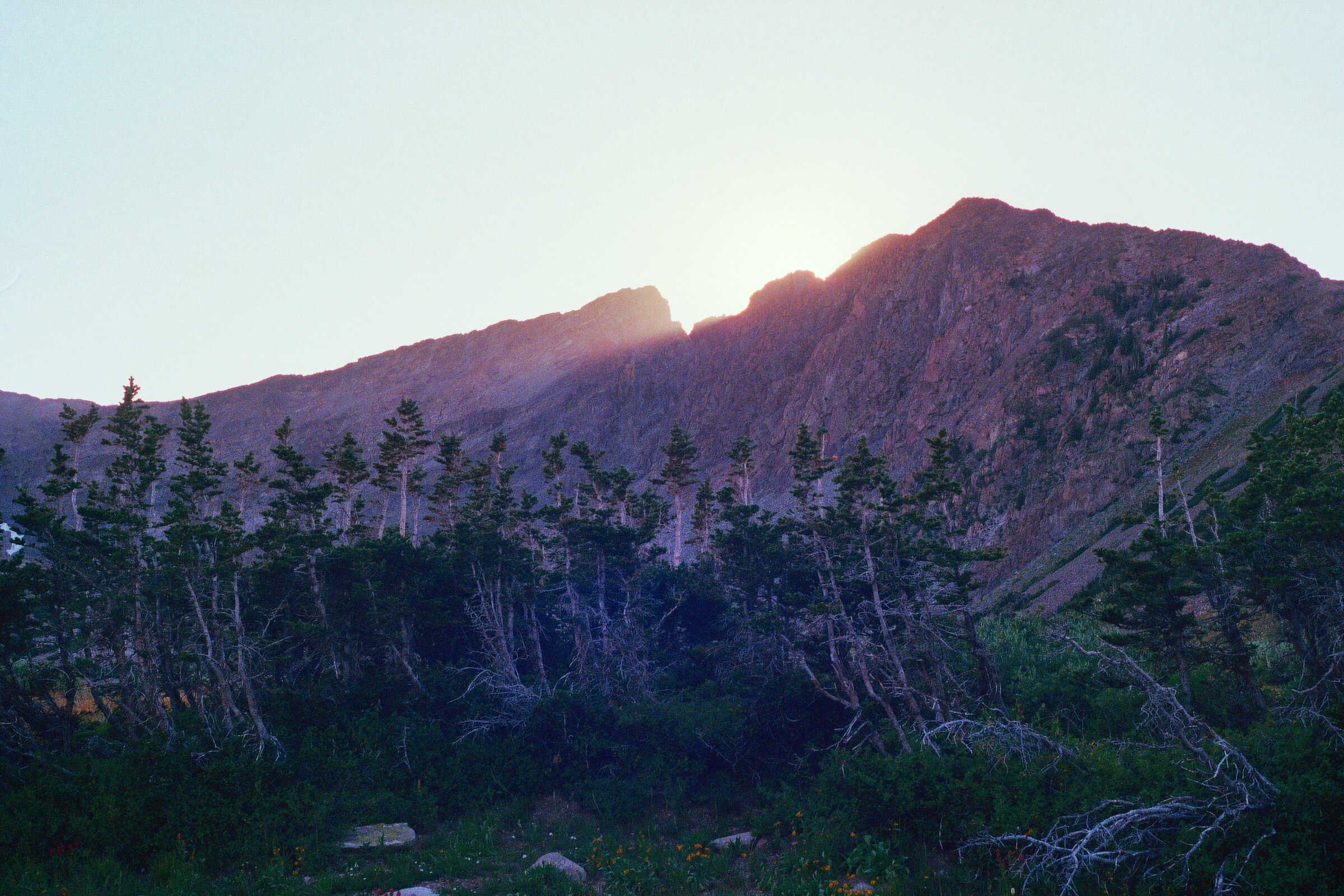 COLORADO
