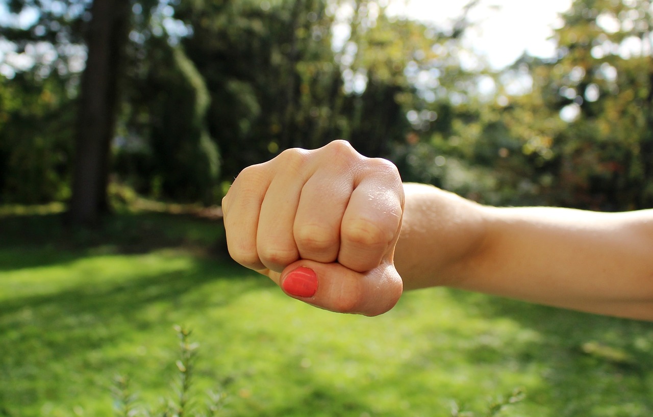 punching-fist.jpg