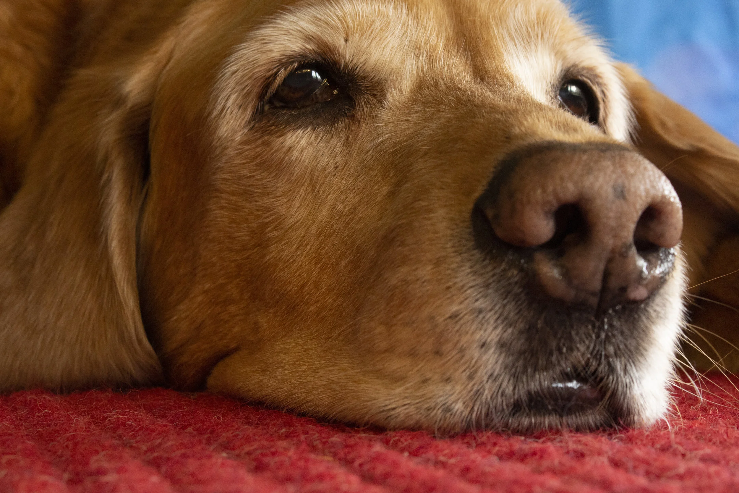 11_1:8 f:11 ISO 1600 Window_3.JPG