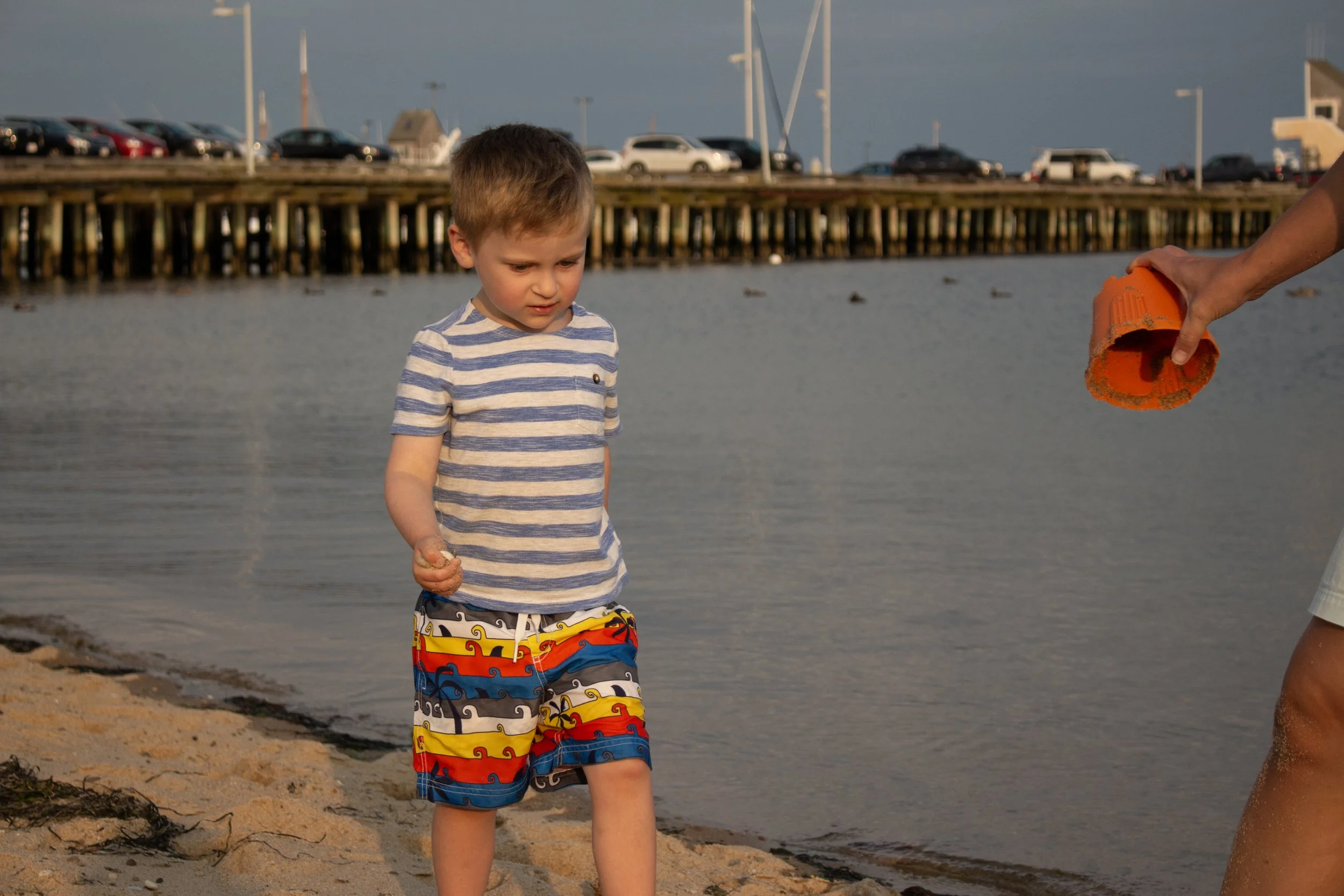 IMG_4242 copy.jpg