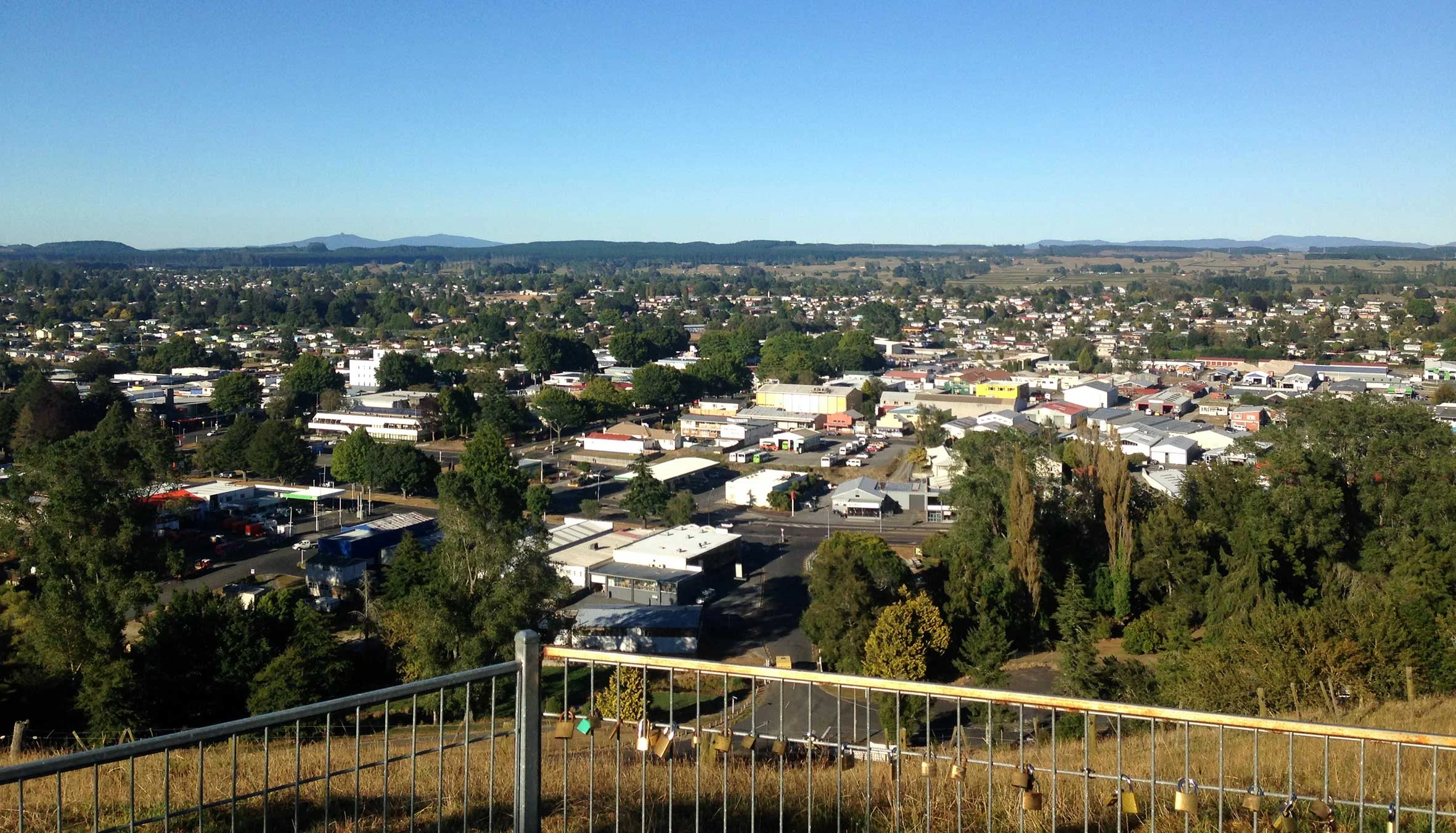 TL TOKOROA.jpg