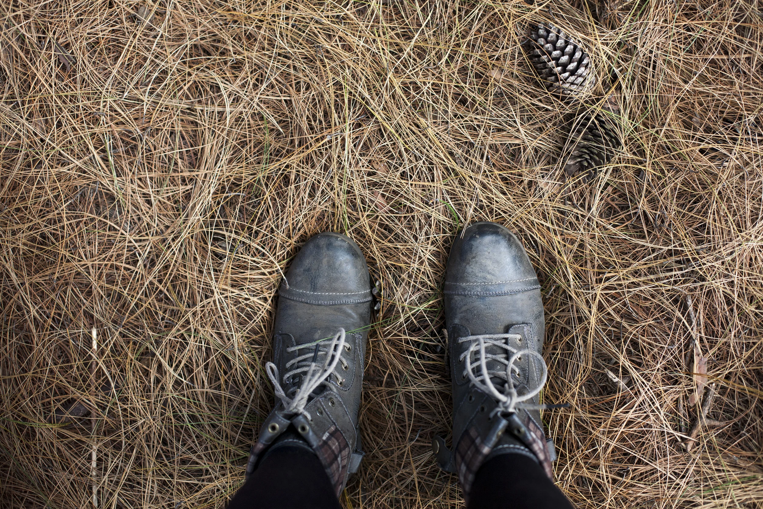 [Photo: Lana Campher on Unsplash]
