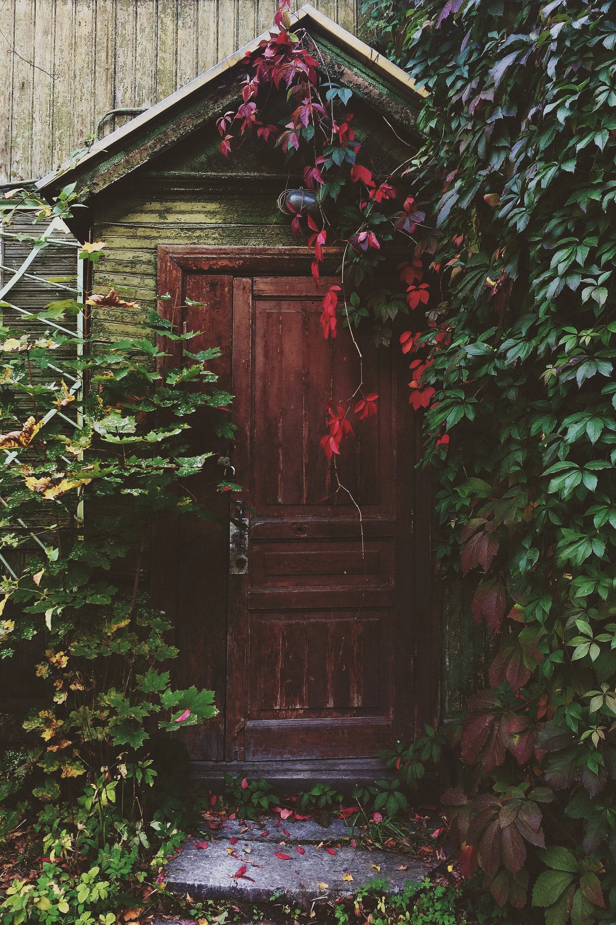[Photo: Viktor Mogilat on Unsplash]
