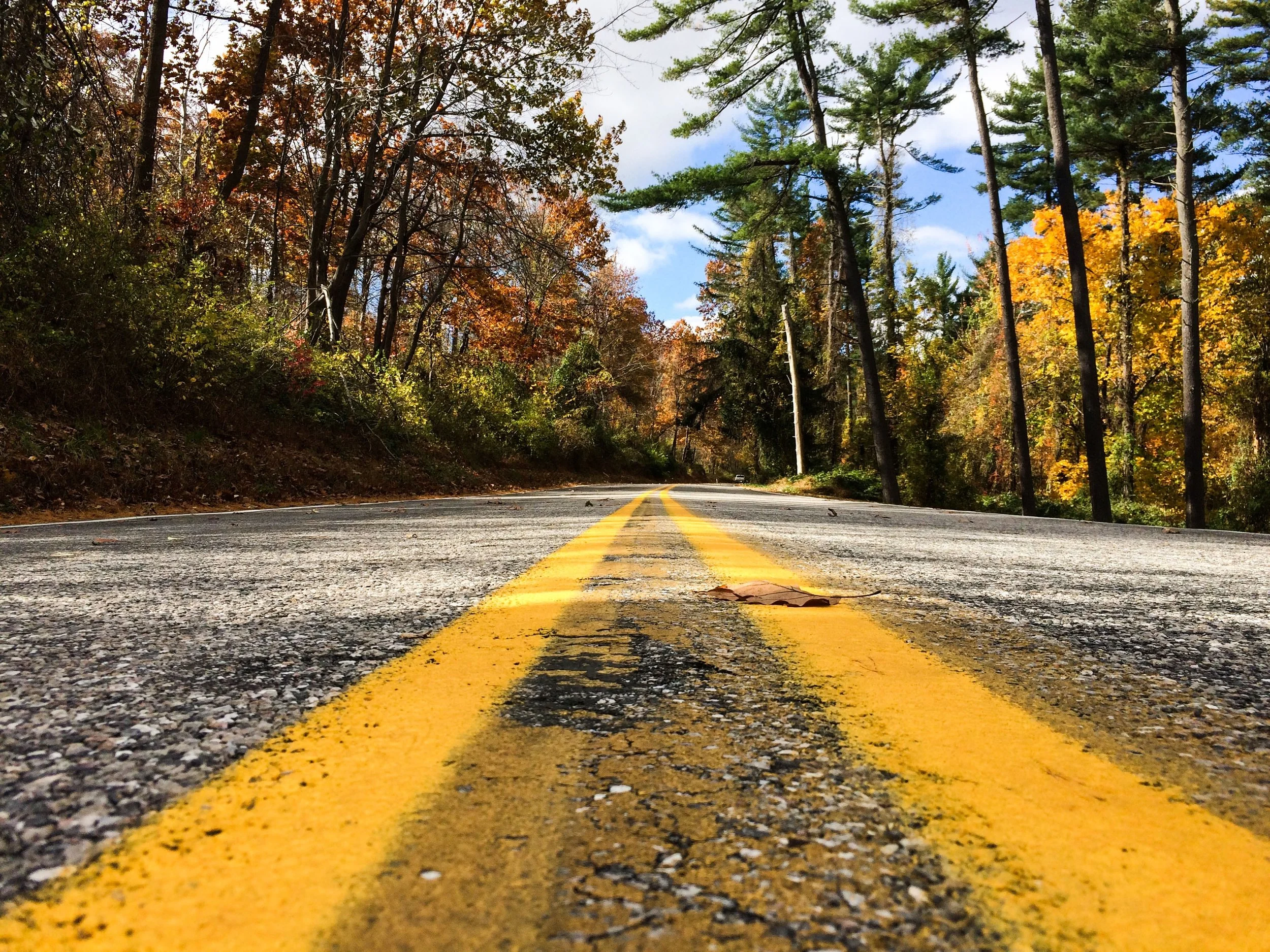 [Photo: Kerrie DeFelice on Unsplash]