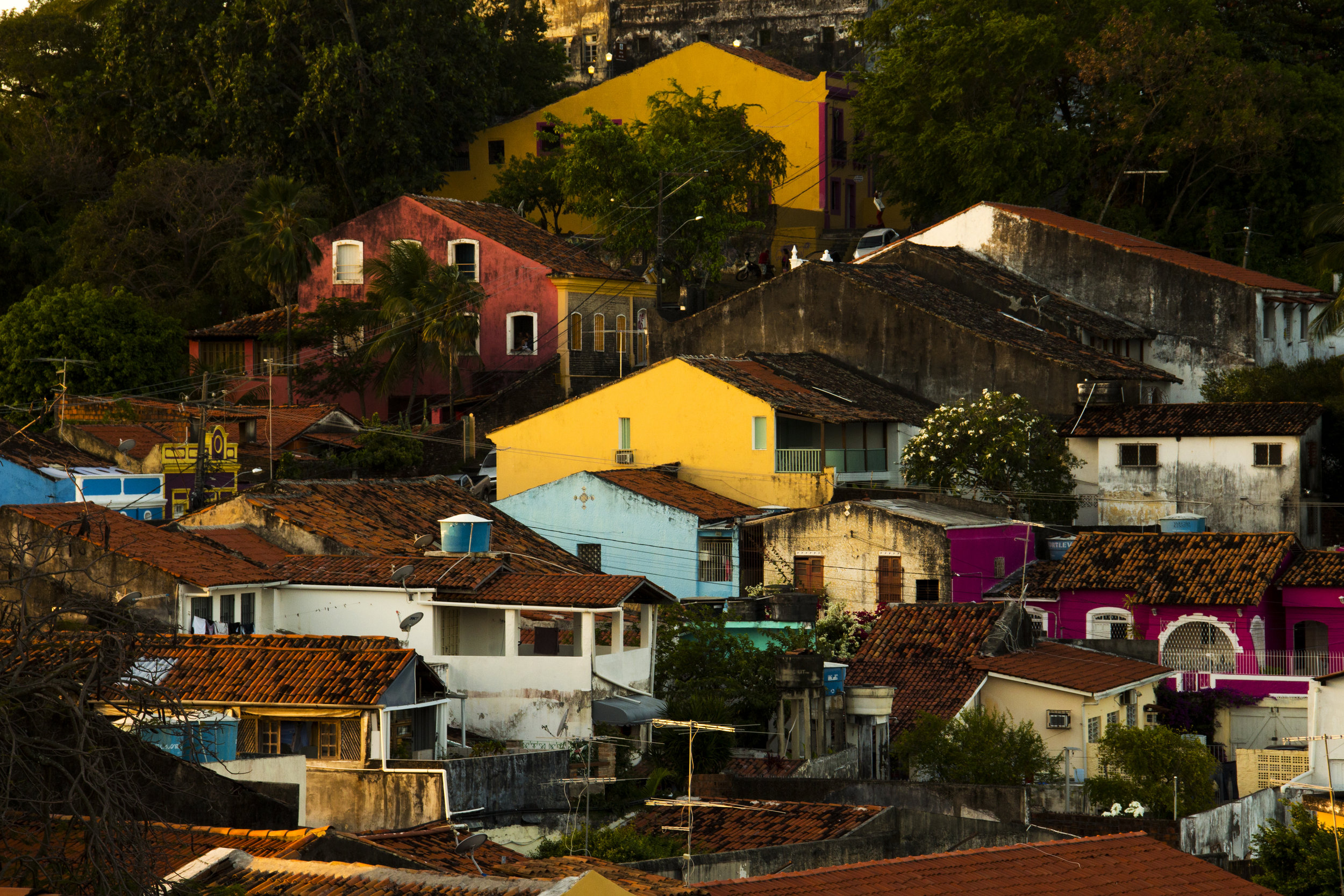 [Photo:&nbsp;Thaís Lima&nbsp;on&nbsp;Unsplash]