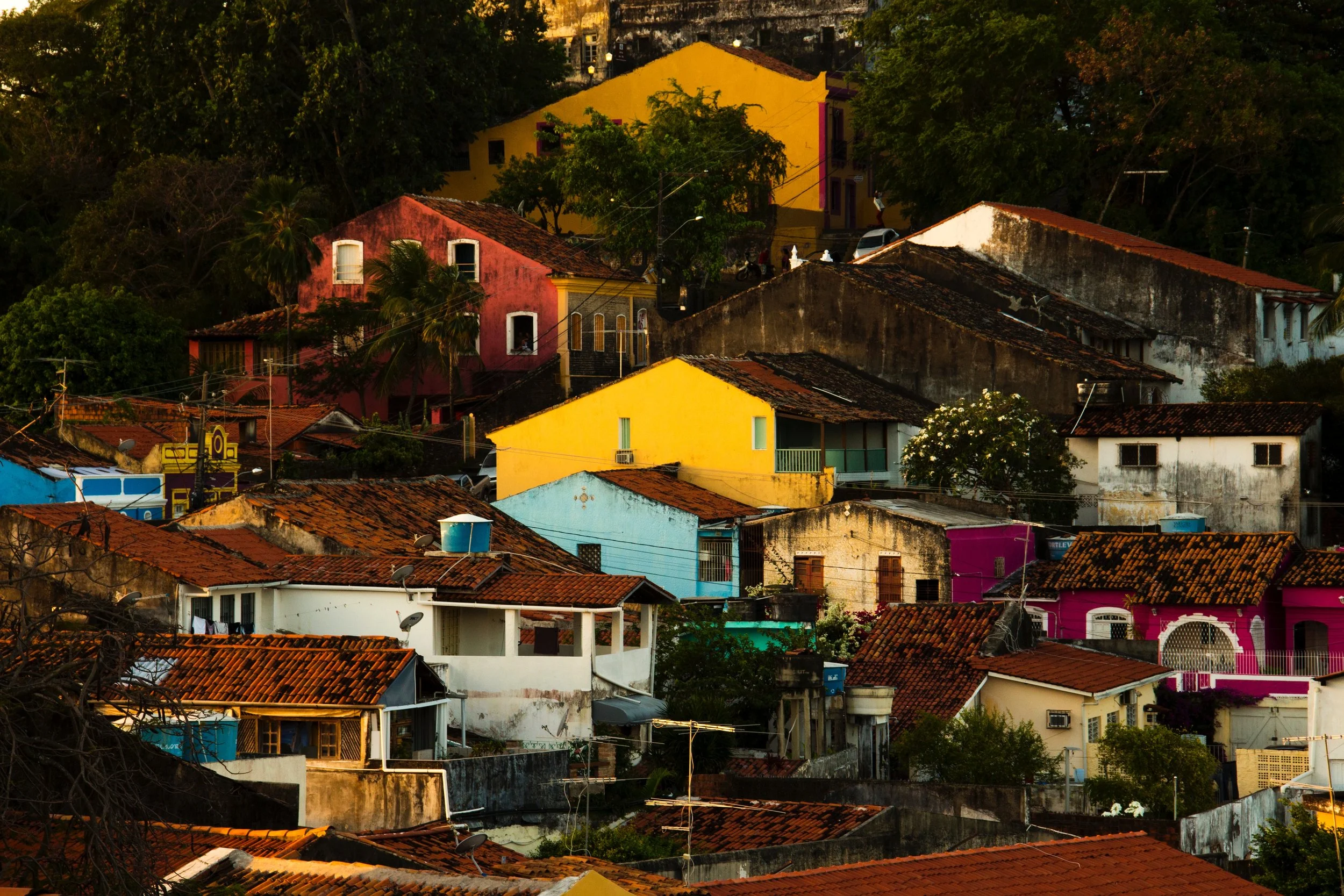Brazil on the Eve of Authoritarian Rule