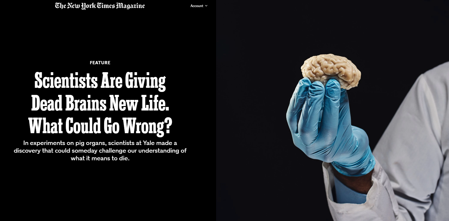 [Screen Capture: The New York Times]