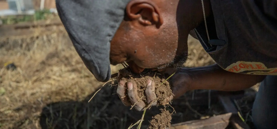 The Reporter's Notebook, Ep. 11: From City to Farm