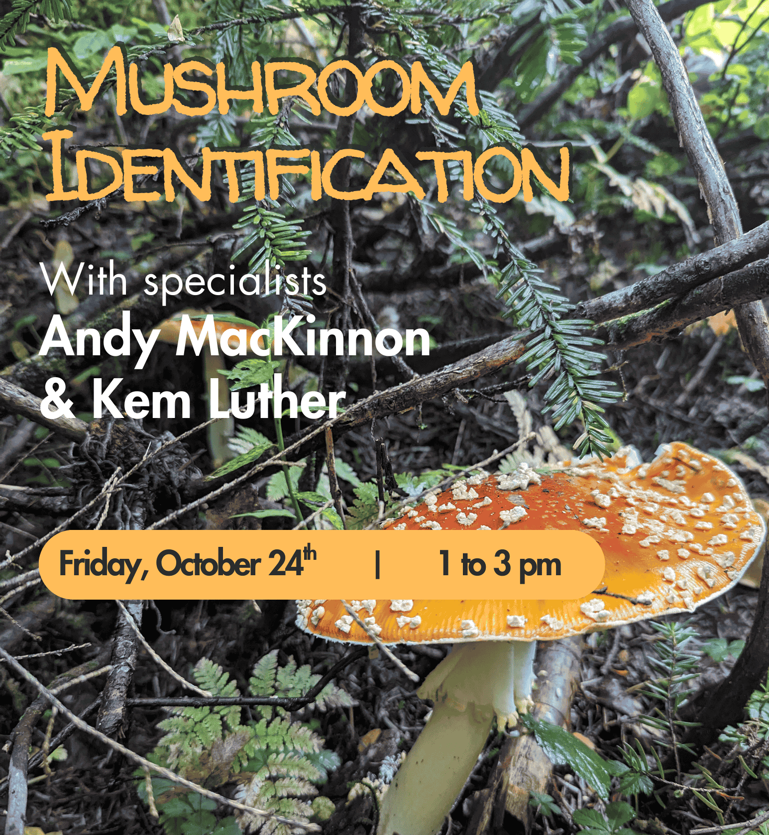 Mushroom Event  2.png