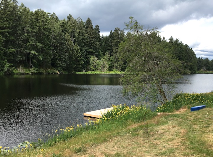 Dock & lake.jpg