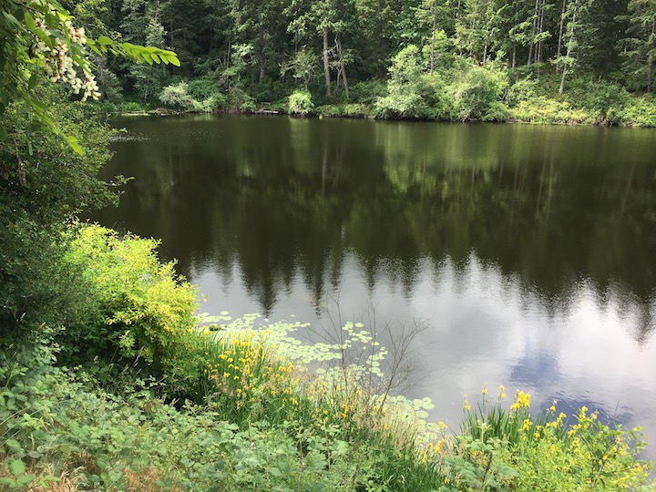 Lake left.jpg