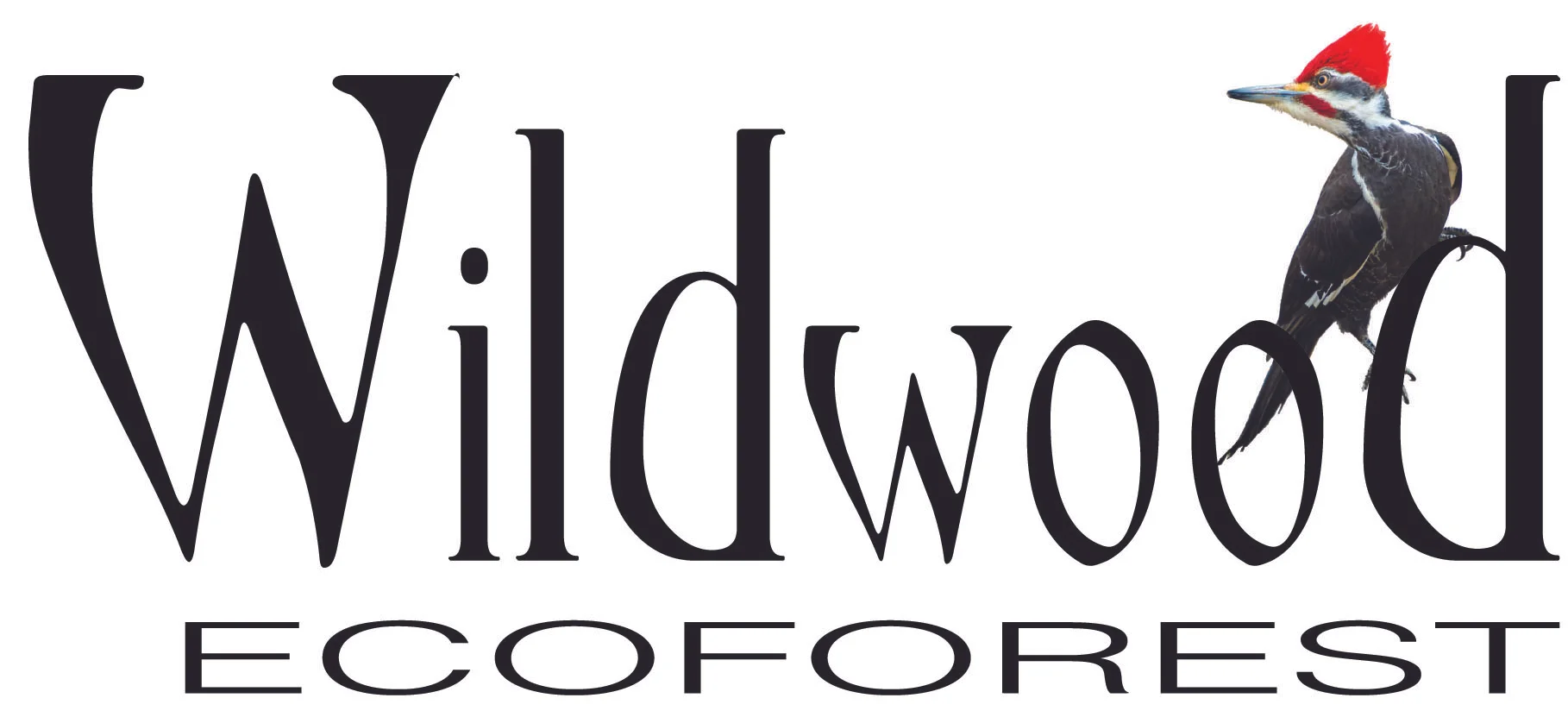 Wildwood Logo 3.jpg