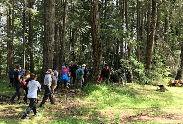 A tour group in spring of 2018 - Photo by Cheryl Bancroft