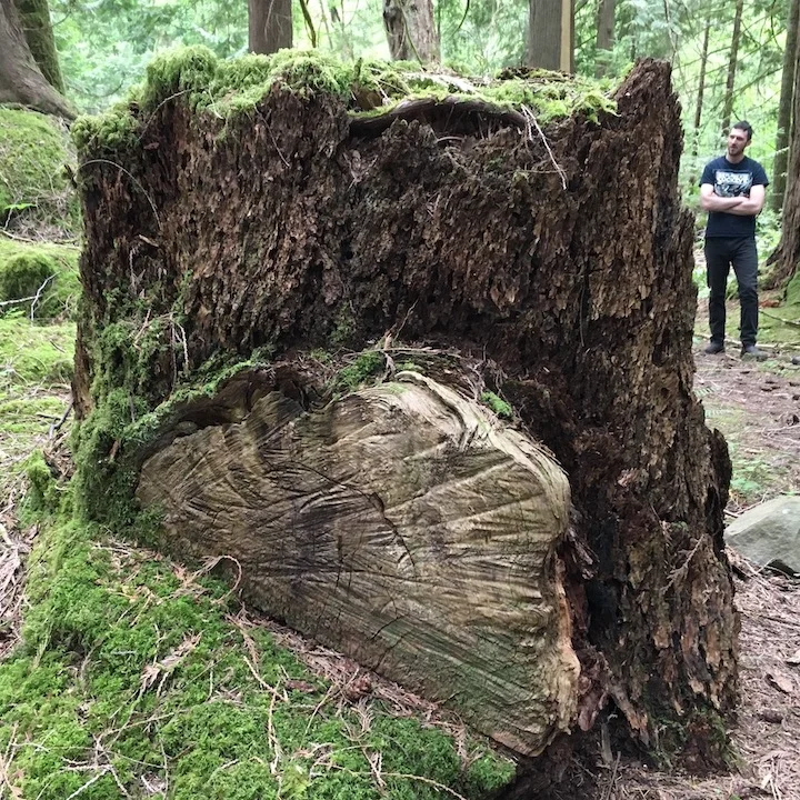 Non-voting Individual Membership