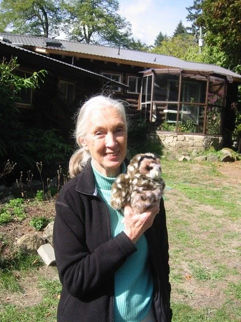 EIS Mourns The Passing Of Dr. Jane Goodall