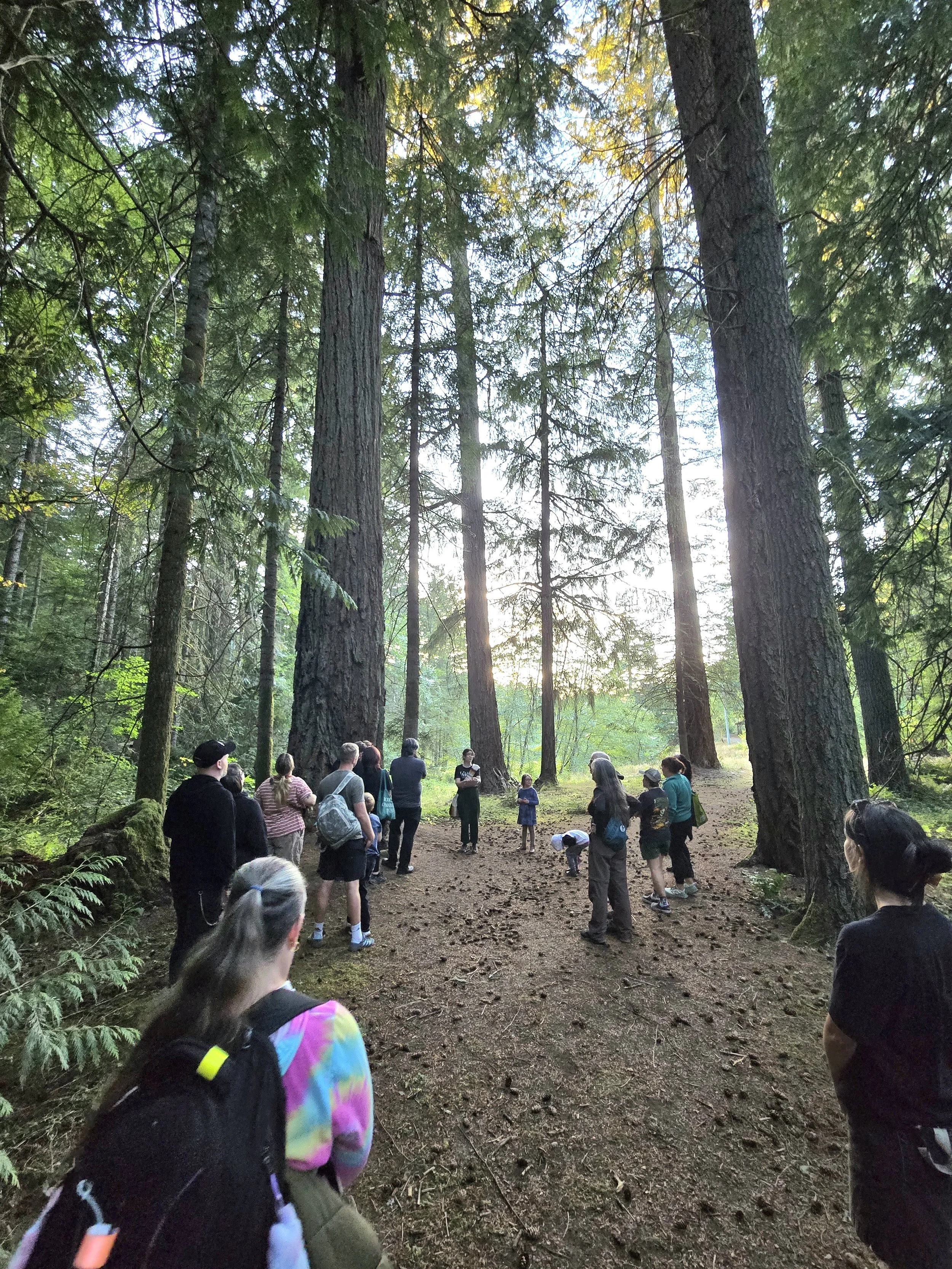 A Tour of Wildwood - an Opportunity Not to be Missed