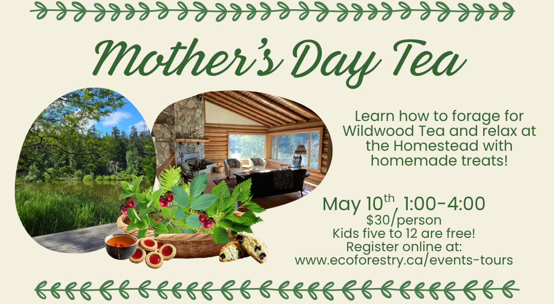 Mother's Day Tea Banner.png