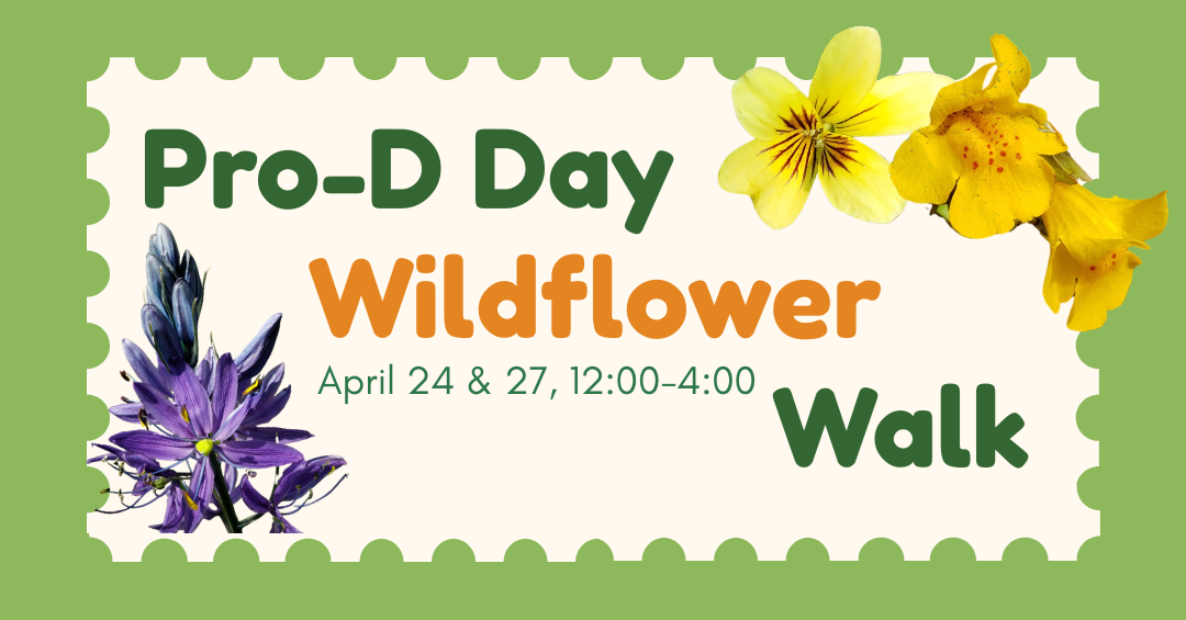 April 27th: Pro-D Day Wildflower Walk