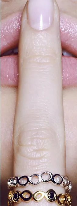 close-up_phloem_ring.jpg
