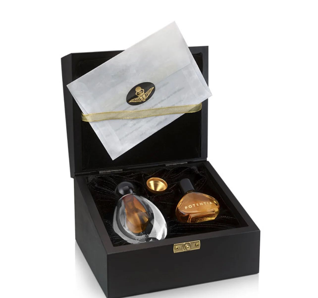 House Of Potentia Dream Box