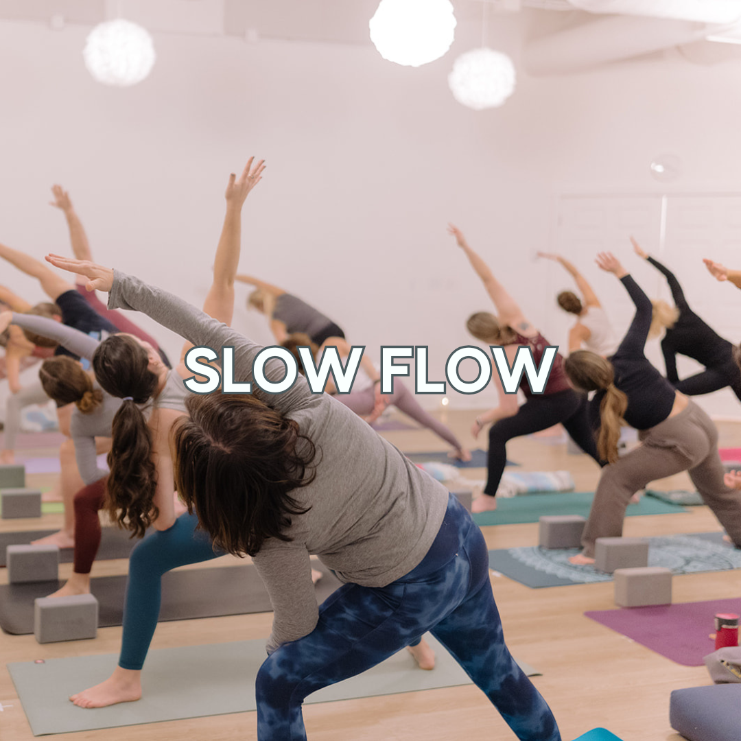 webslow (1).png