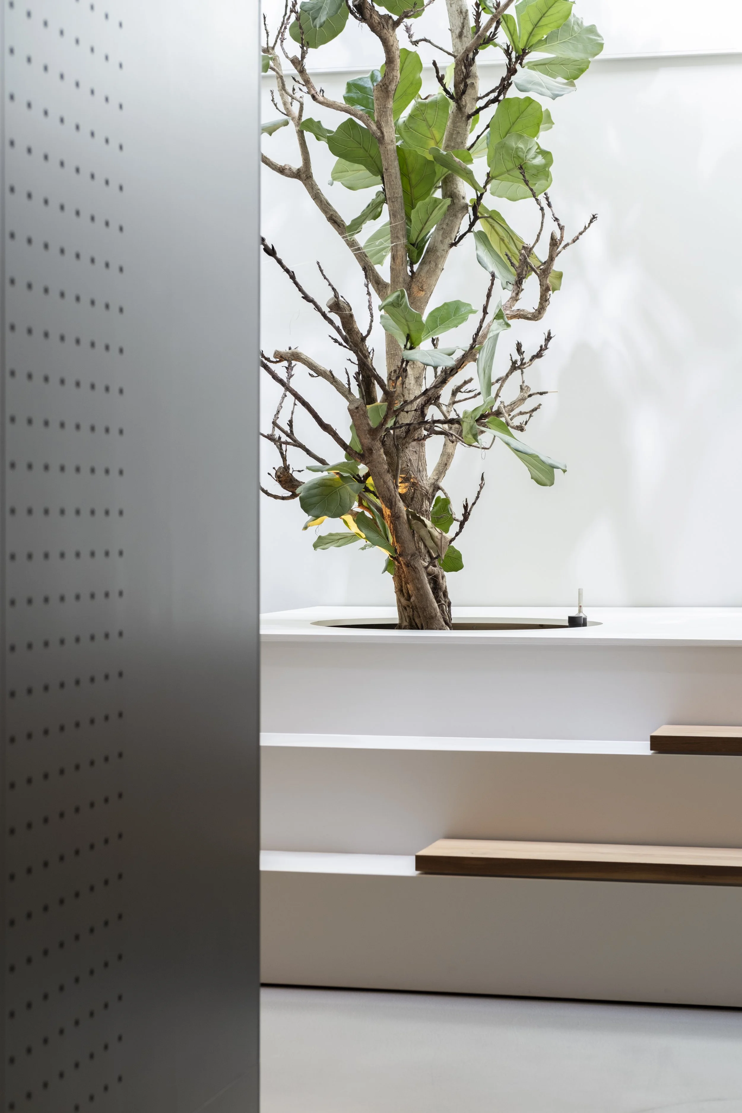 Atelier Lambrinos - Amsterdam Patiowoning-5.jpg