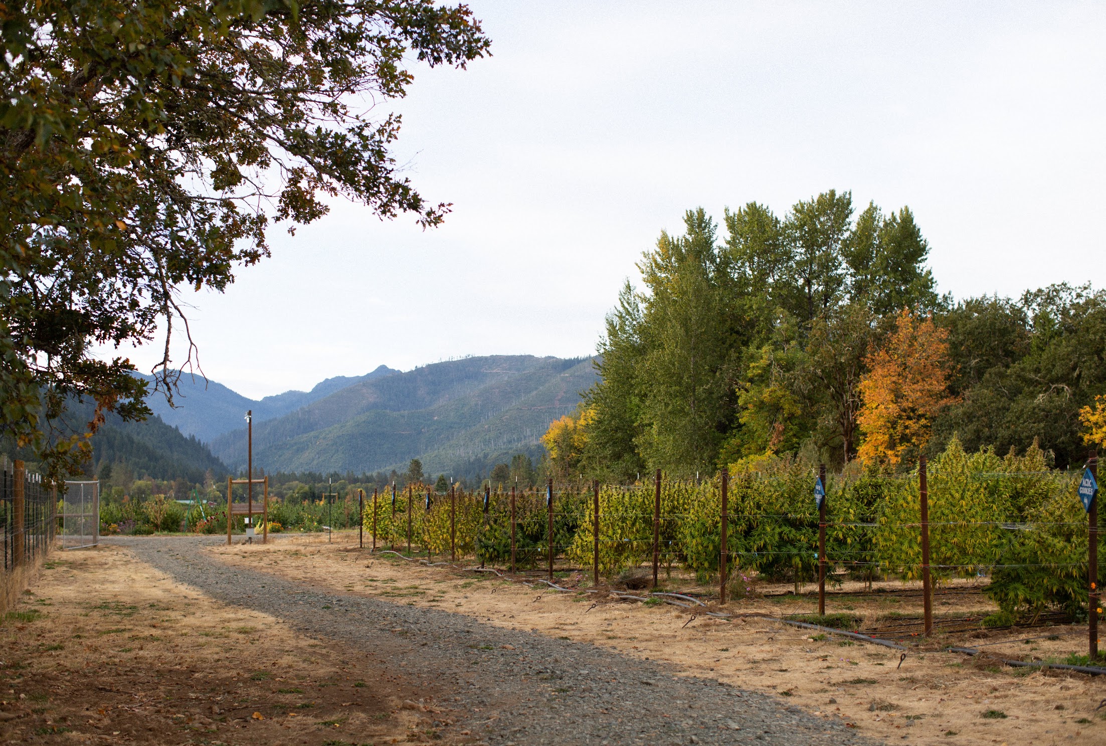 EastFork-357.jpg