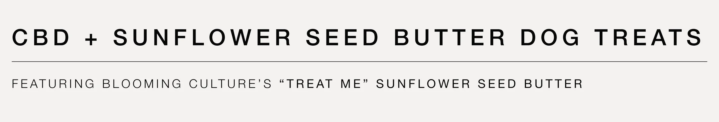 TREAT ME BANNER.jpg