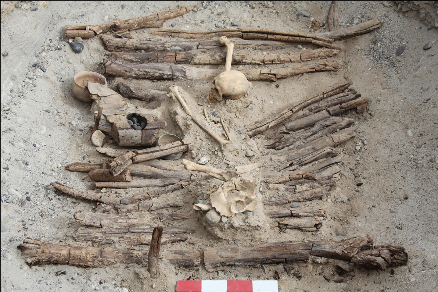 A wooden brazier is visible on the left side of this excavated burial from Jirzankal Cemetery. PHOTOGRAPH BY XINHUA WU