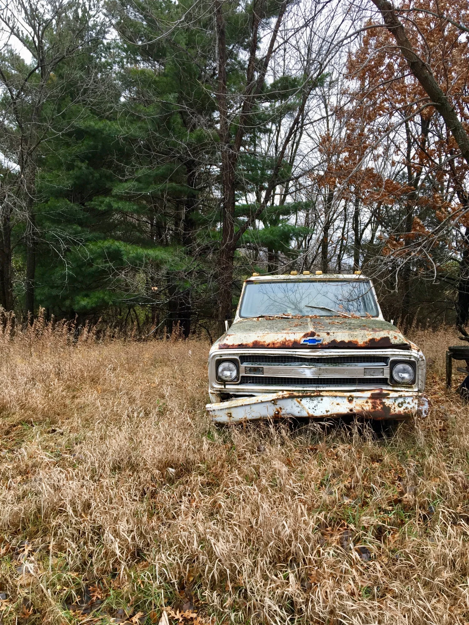 OriginalPhoto-563223118.443484.jpg