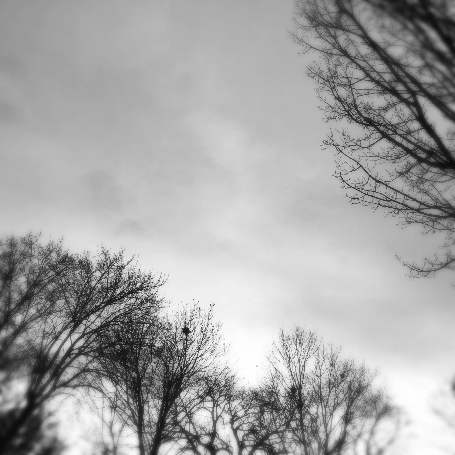 OriginalPhoto-563496999.951887.jpg