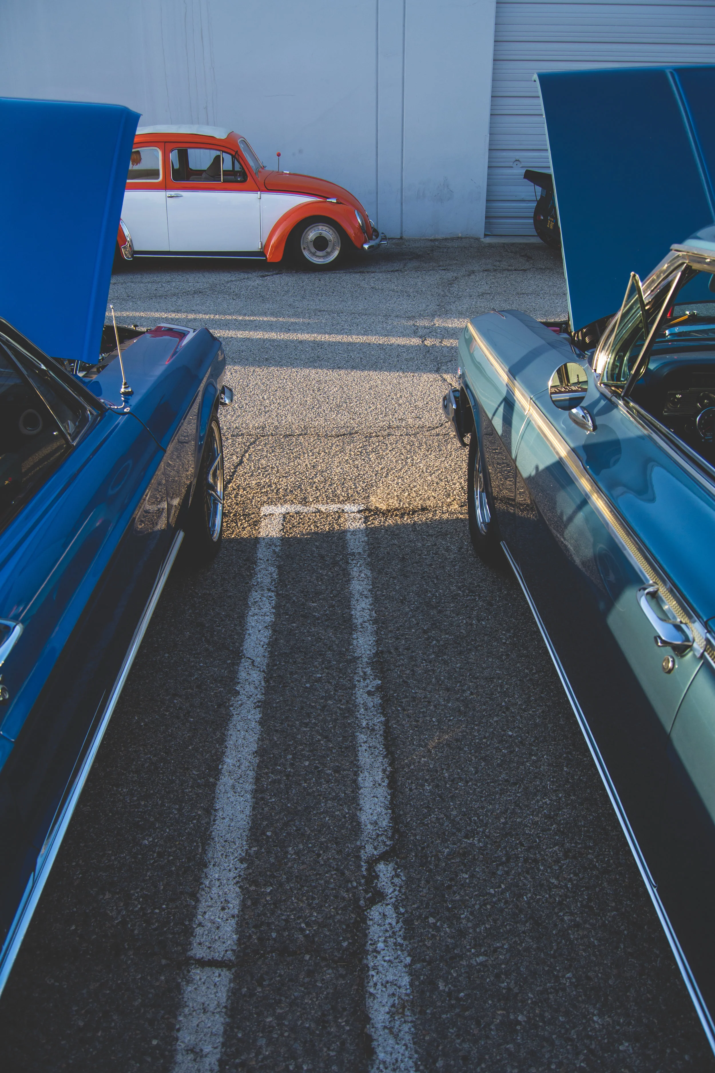 Copy of Auto Show-6398.jpg