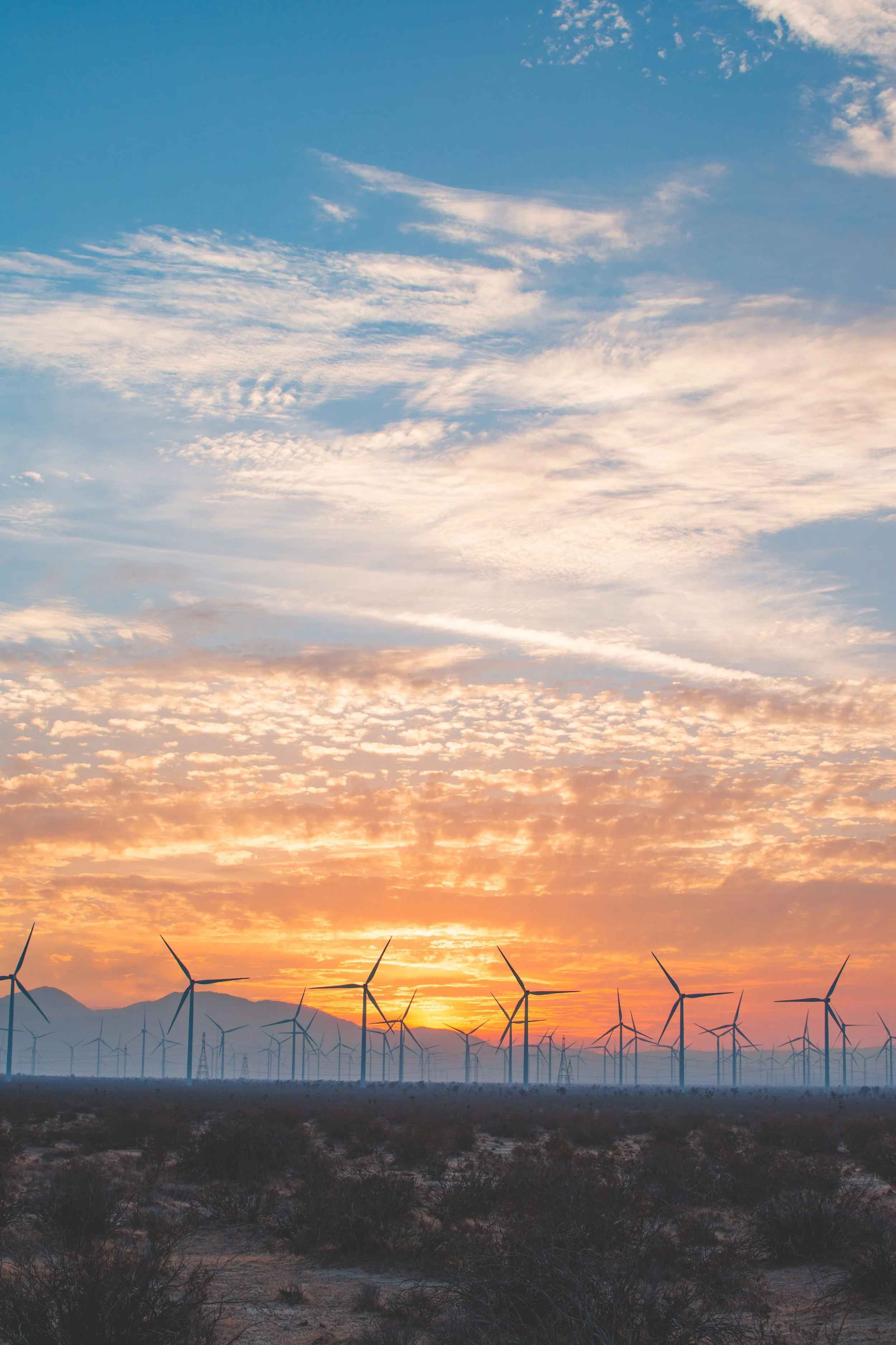 Copy of Windmill Farm-4771.jpg
