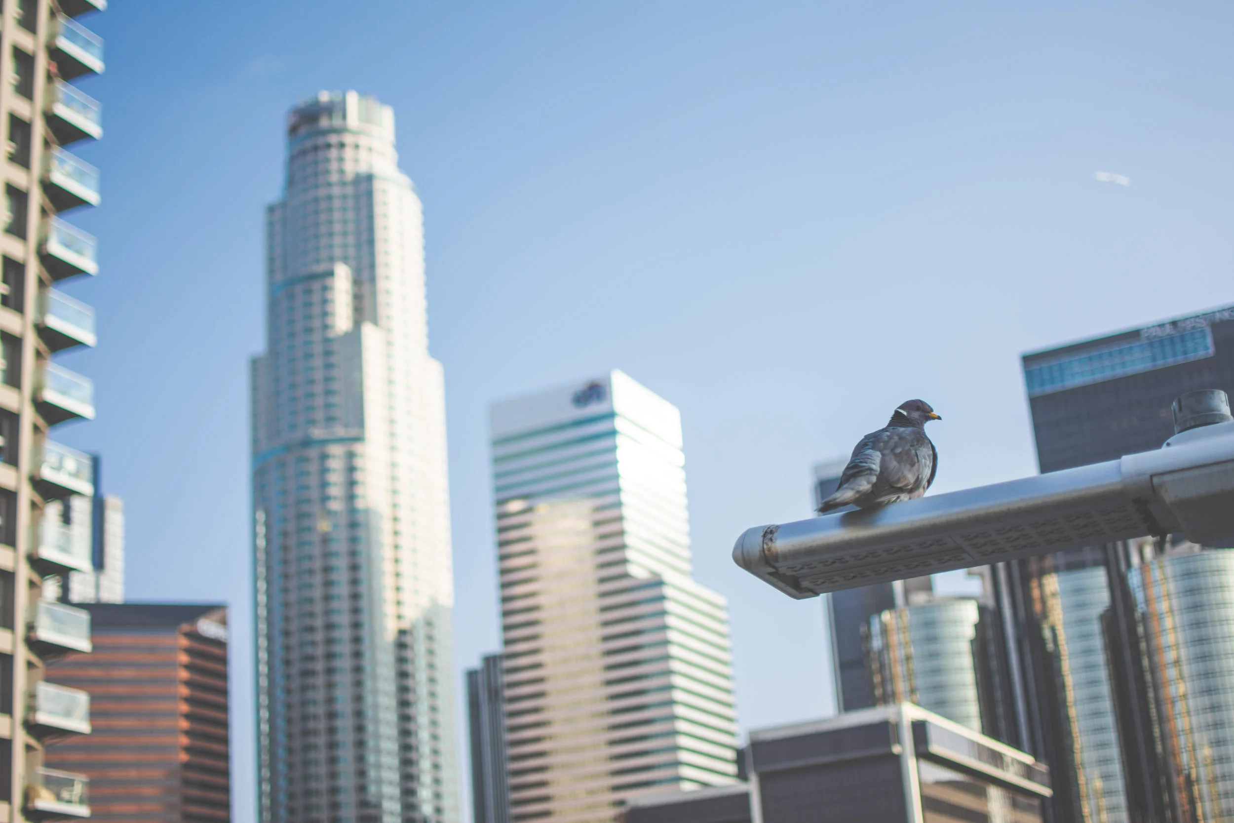 DowntownLA-0972.jpg