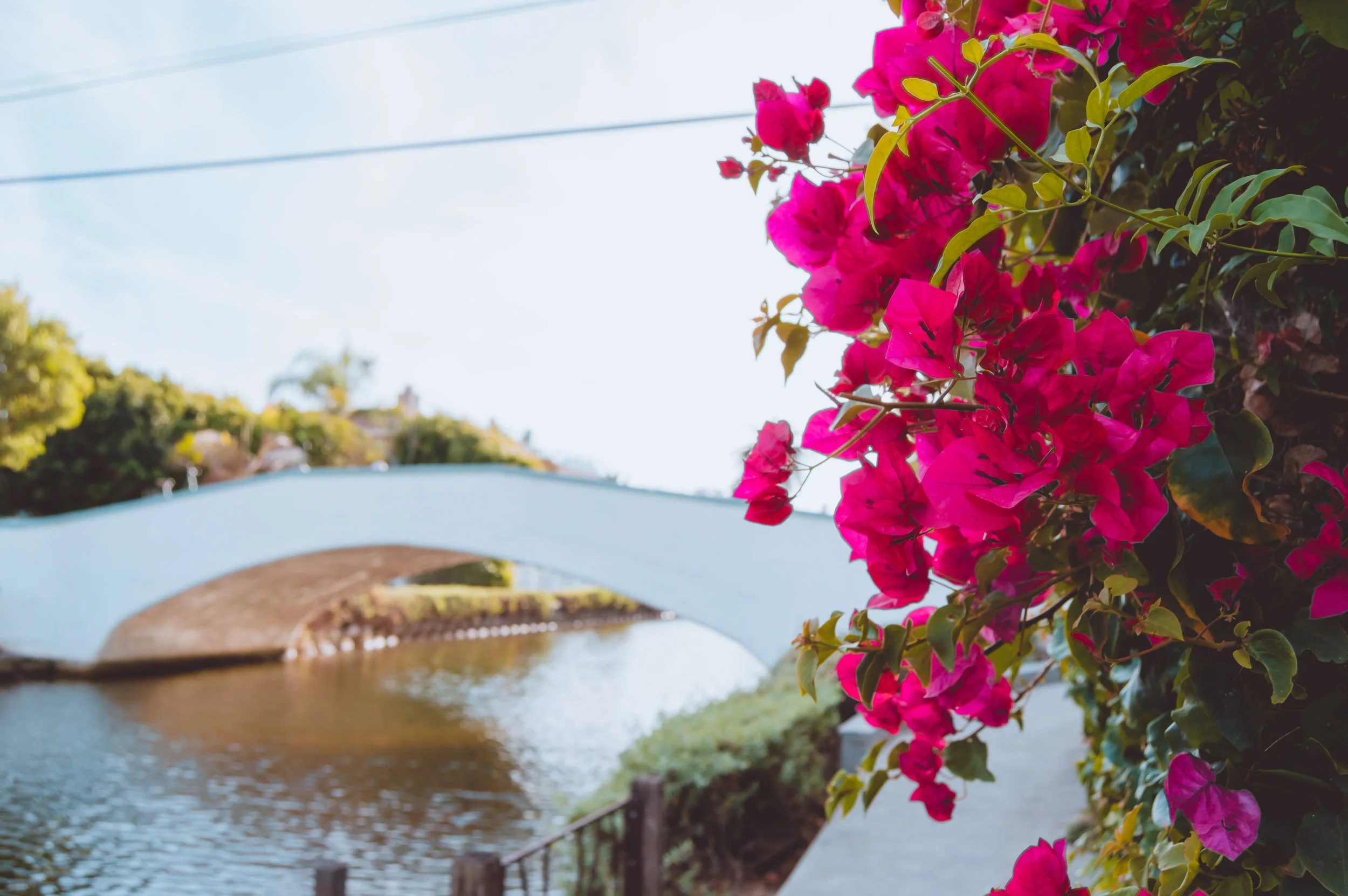 Venice Canals-0156.jpg