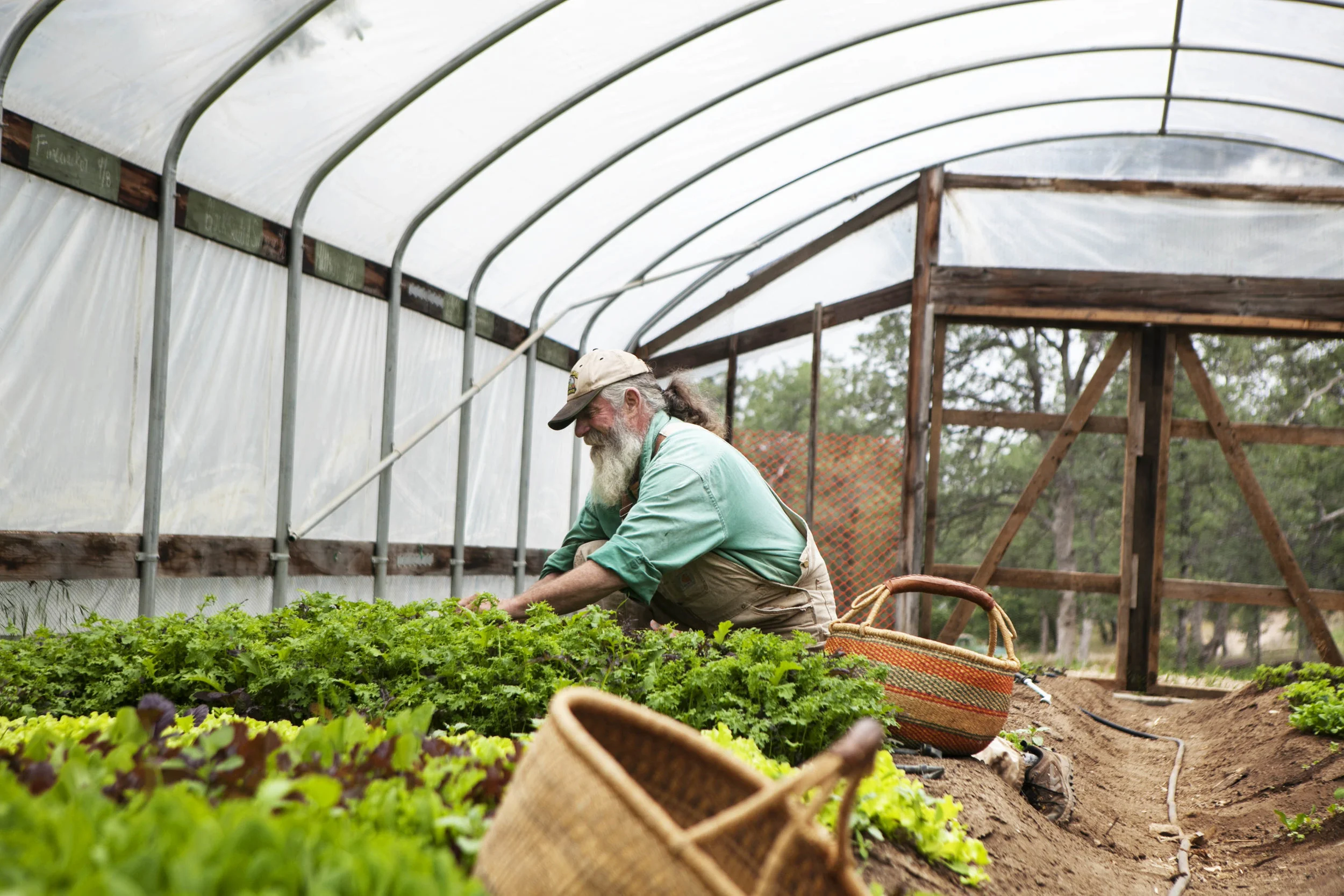 IMG_0410 as Smart Object-1.jpg