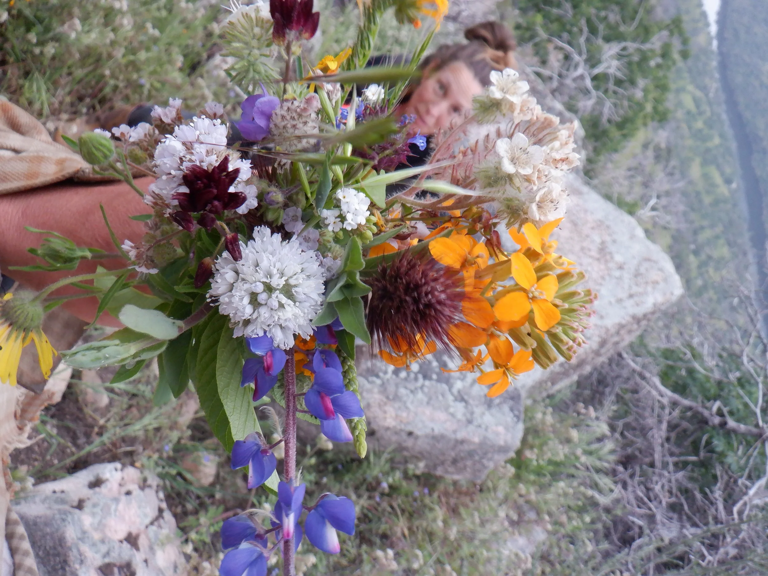 DSCF2954.JPG