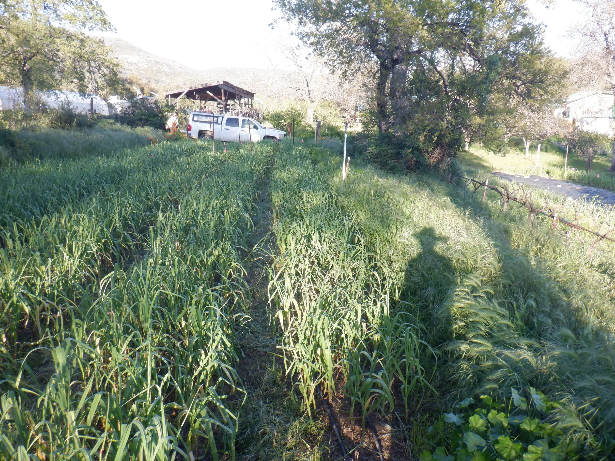 DSCF3347.JPG