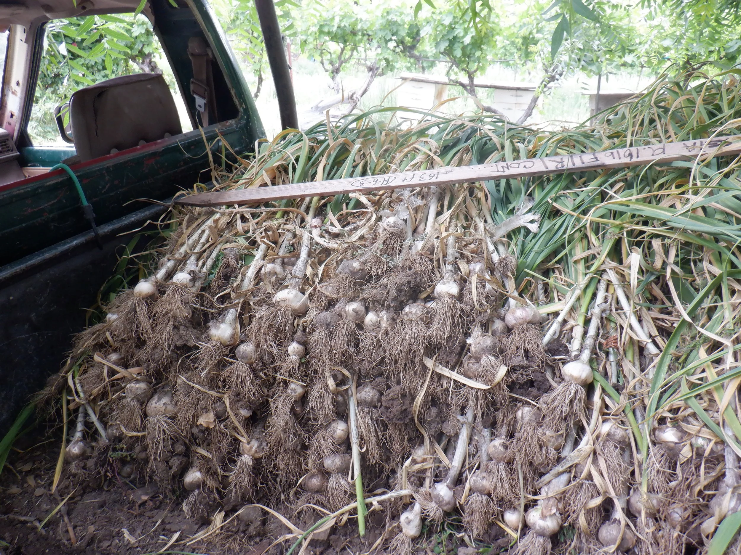 DSCF4025.JPG