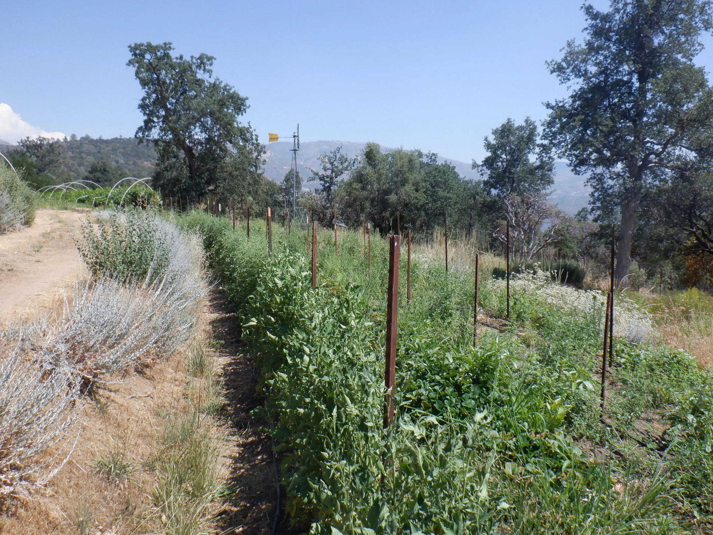 DSCF5090.JPG