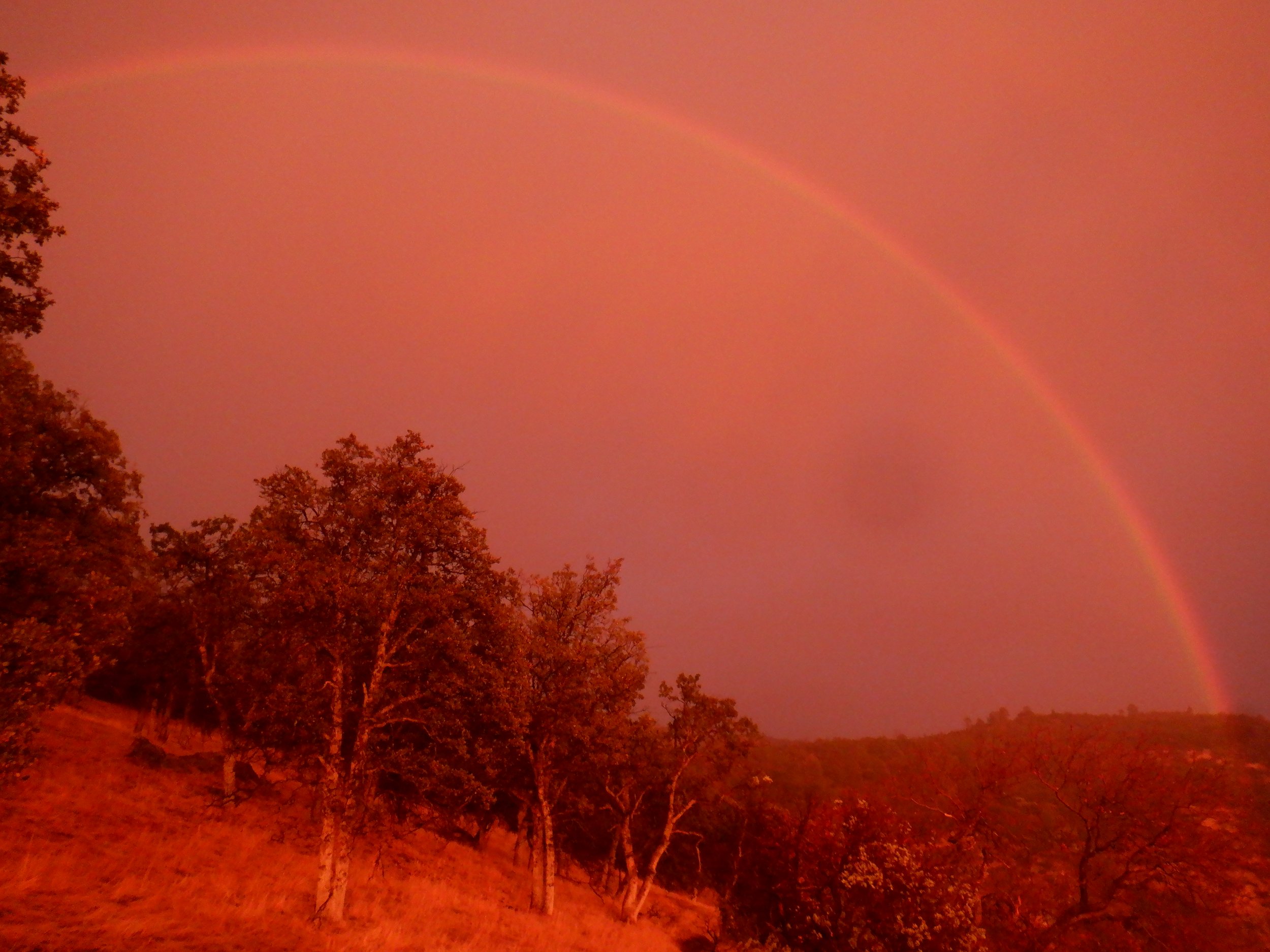 DSCF6911.JPG